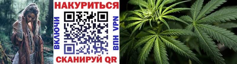 Бошки Шишки сатива  Купить где  Павловск 